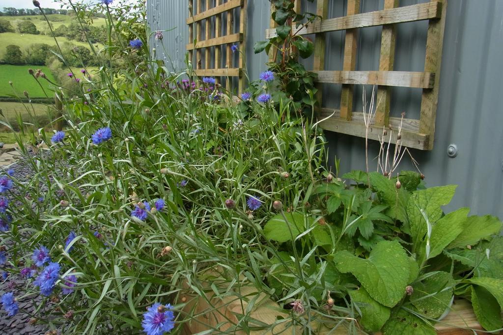 فيلا كرمرثنفي Rhiwiau Self Catering المظهر الخارجي الصورة